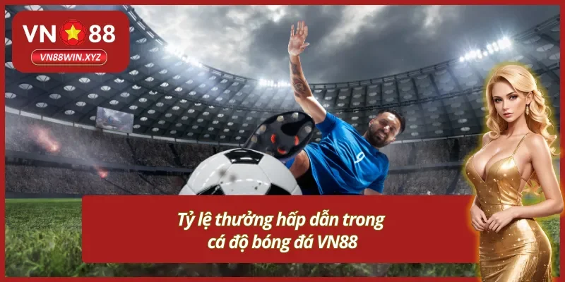 Nắm rõ tỷ lệ thưởng trong hướng dẫn cá độ bóng đá VN88