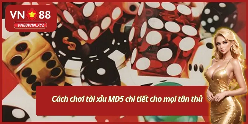 Cách thức chơi tài xỉu MD5 VN88 chuẩn nhất cho tân thủ