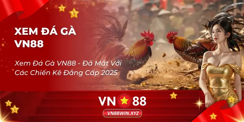 Xem Đá Gà VN88 – Đã Mắt Với Các Chiến Kê Đẳng Cấp 2025